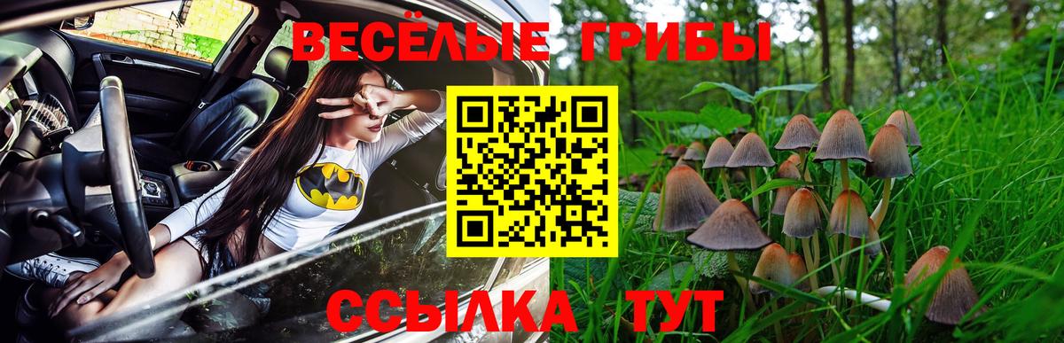 Псилоцибиновые грибы Cubensis Щёлково