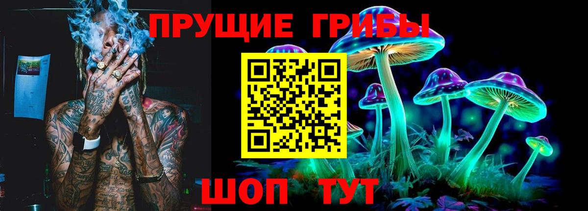 закладка  Галлюциногенные грибы ЛСД  Вход с VPN  Щёлково 